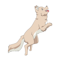 kappa-dog-alpha